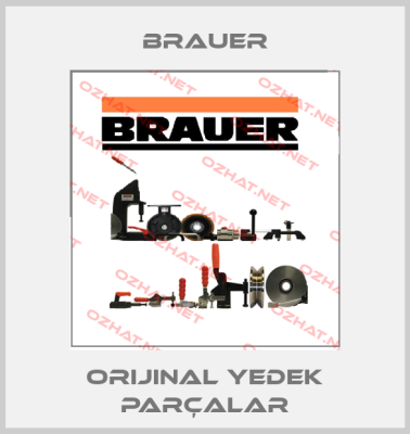Brauer
